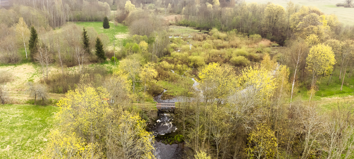 Ojaveski, Kalita, Saarde vald, Pärnu maakond