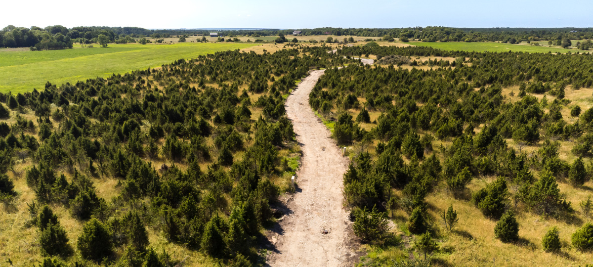 Lootsi, Suure-Rootsi, Saaremaa vald, Saare maakond