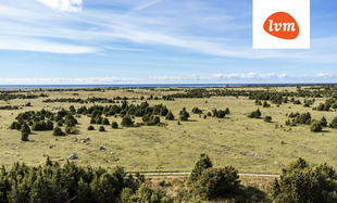 Vahetüki , Saaremaa vald