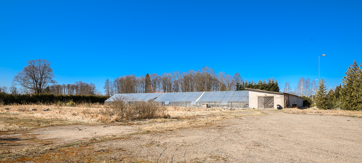 Aiandi tänav 2, Pärnu maakond, Häädemeeste vald, Häädemeeste