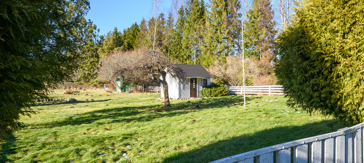 Kuuse, Laadi, Häädemeeste vald, Pärnu maakond