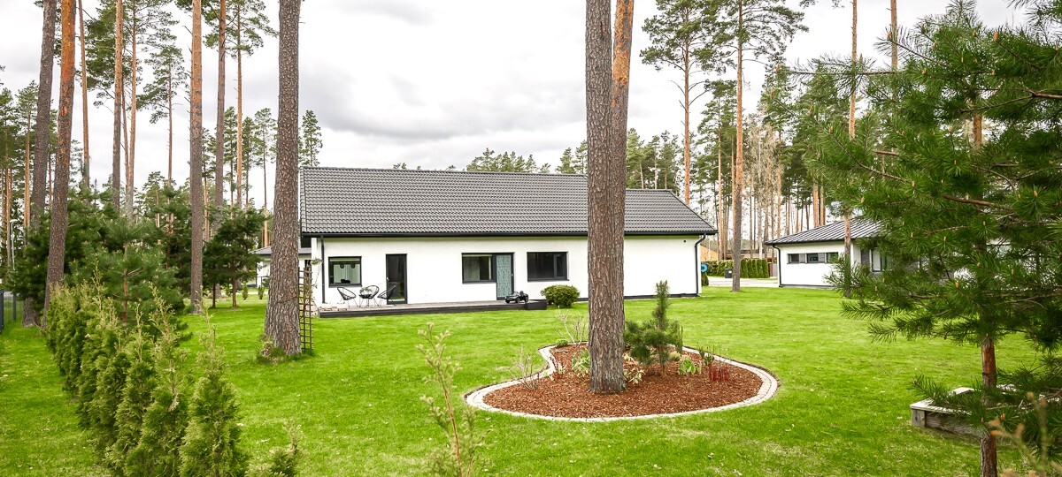 Jõhvika 1, Pärnu maakond, Tori vald, Tammiste küla