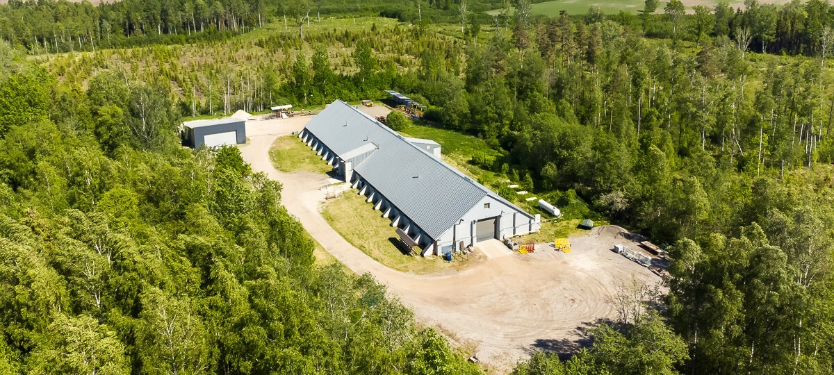 Haava , Pärnu maakond, Pärnu, Aruvälja