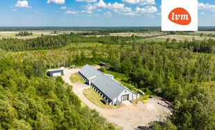 Haava , Pärnu