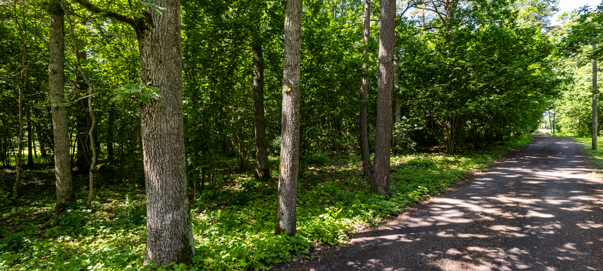 Lillevälja tee 6, Harju maakond, Vanamõisa, Vanamõisa