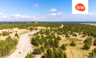 Lipu , Saaremaa vald