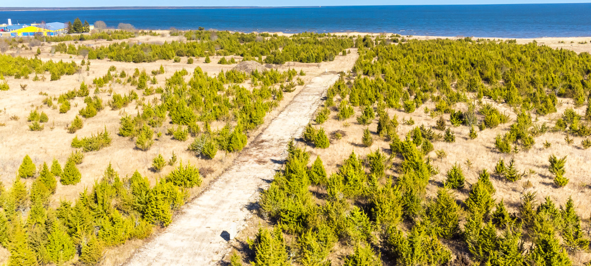 Lipu, Suure-Rootsi, Saaremaa vald, Saare maakond