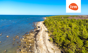 Rannaääre , Saaremaa vald