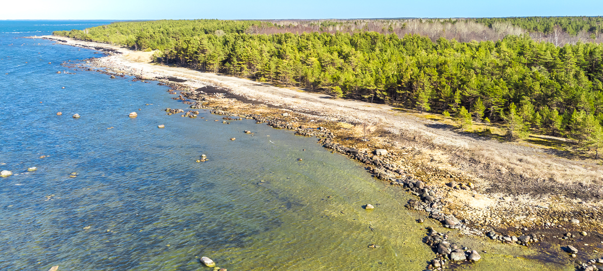 Rannaääre, Panga, Saaremaa vald, Saare maakond