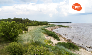 Mõisa II, Manija , Pärnu