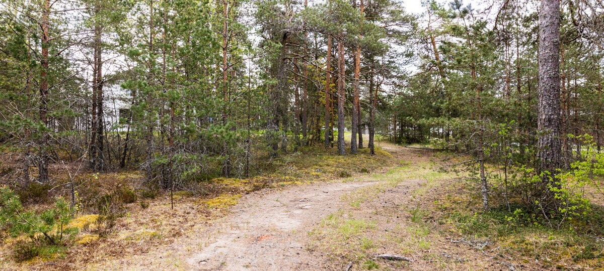Kuldre tee  3, Harju maakond, Saku vald, Männiku küla