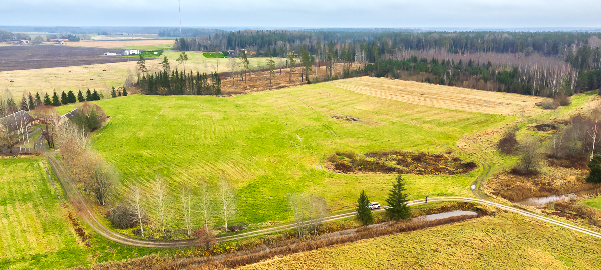 Kalmesalu, Are, Tori vald, Pärnu maakond