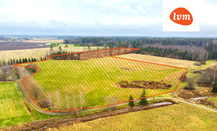 Kalmesalu , Tori vald