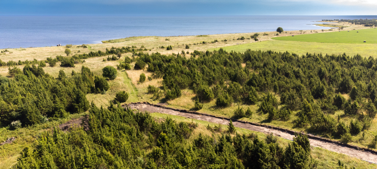 Kalda, Suure-Rootsi, Saaremaa vald, Saare maakond