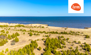 Kalda , Saaremaa vald