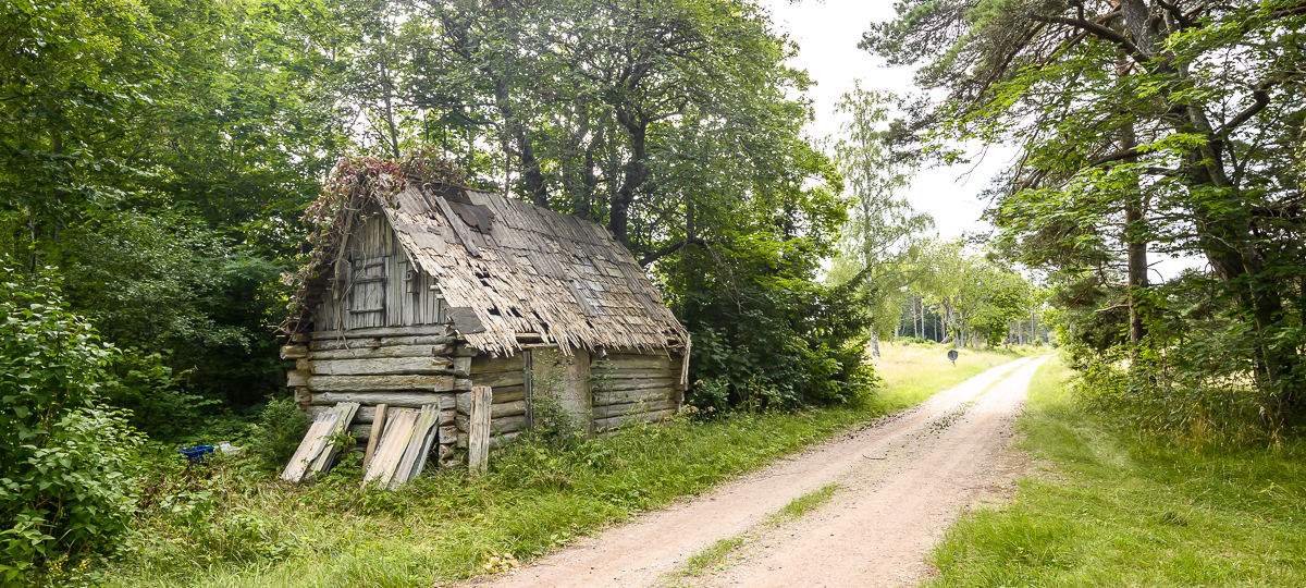 Karunõmme , Saare maakond, Saaremaa vald, Torgu-Mõisaküla