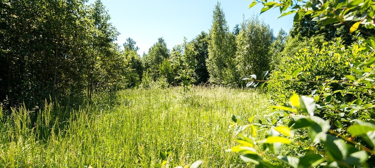 Sanga ühistu 11, Pärnu maakond, Pärnu linn, Soomra küla