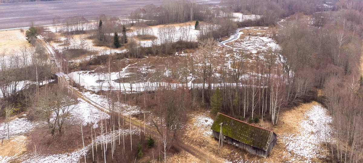 Ojaveski , Saarde vald