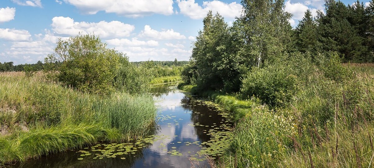 Eha , Pärnu maakond, Häädemeeste vald, Lepaküla