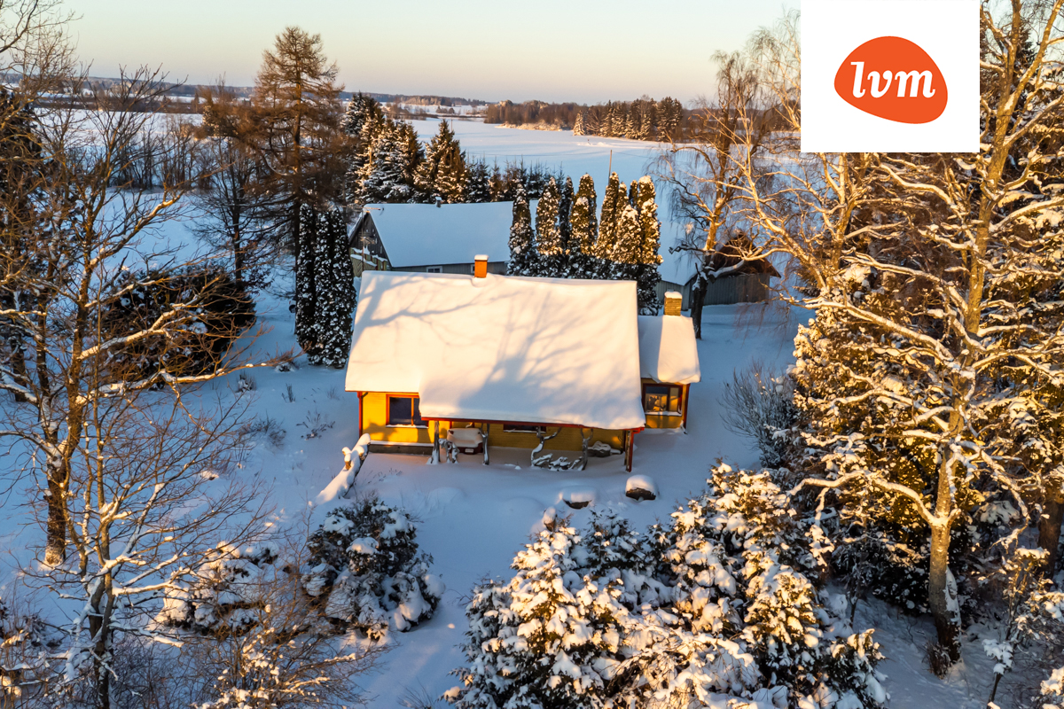 Saue Kolu küla, Kolu, Kadrina vald