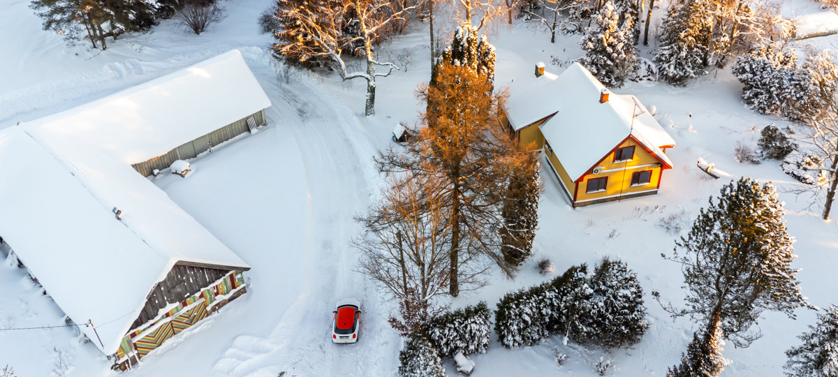 Saue Kolu küla, Kolu, Kadrina vald, Lääne-Viru maakond