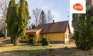 Saue Kolu küla , Kadrina vald