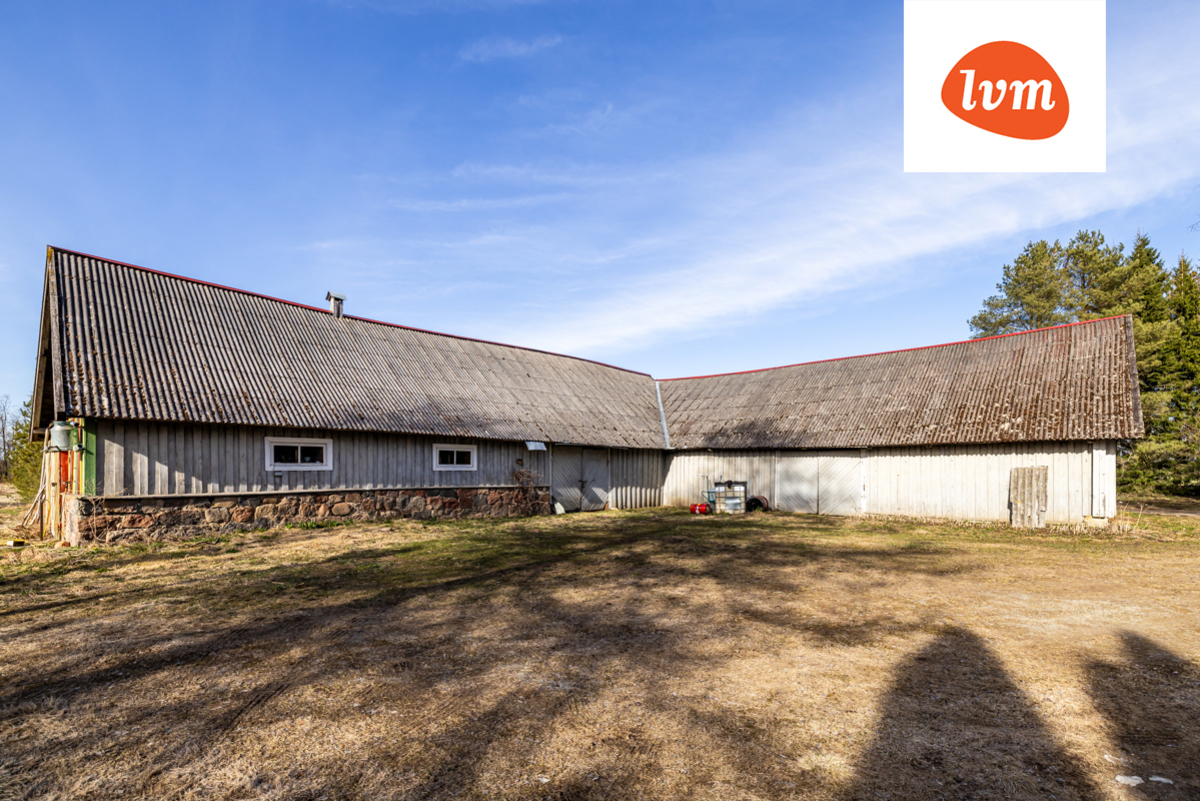 Saue Kolu küla, Kolu, Kadrina vald, Lääne-Viru maakond