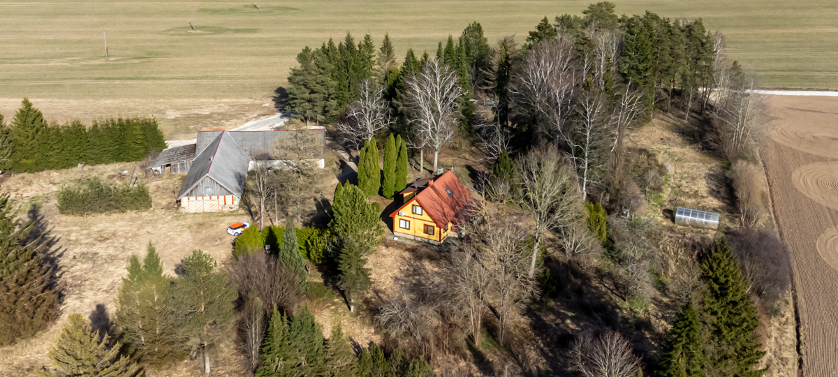 Saue Kolu küla, Kolu, Kadrina vald, Lääne-Viru maakond