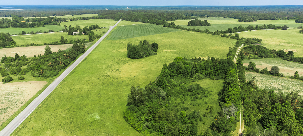 Ristiku , Saare maakond, Saaremaa vald, Vedruka