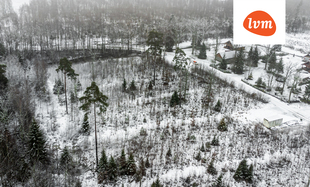 Tominga Seli küla , Rapla vald