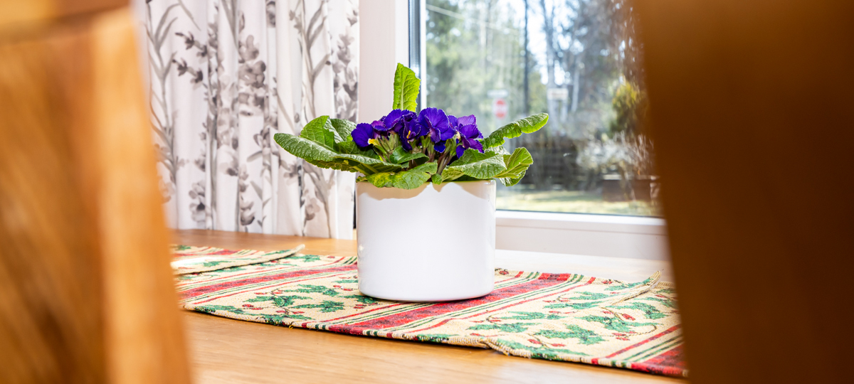 Kaare tänav 4, Luige, Kiili vald, Harju maakond