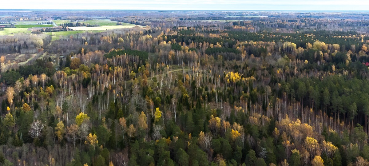 Vana-Lehtpuu , Pärnu maakond, Pärnu linn, Kihlepa küla