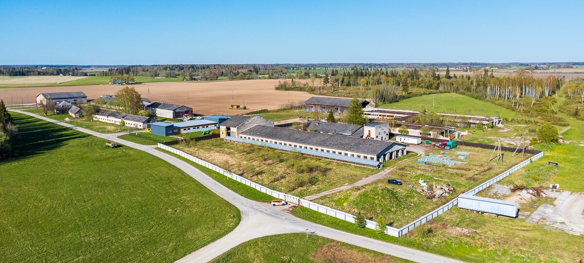 Suurfarmi , Järva maakond, Järva vald, Neitla küla