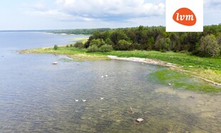 Merimetsa , Pärnu linn