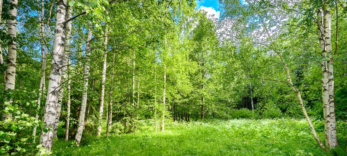 Kuigu tee 52, Pärnu maakond, Pärnu linn, Silla küla