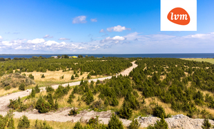 Masti , Saaremaa vald