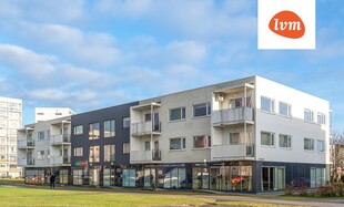Papiniidu  64, Pärnu linn