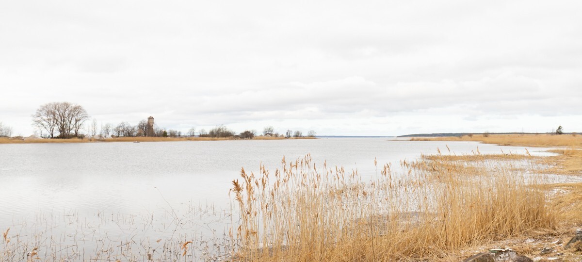Kaluri tn 24, Lääne maakond, Haapsalu linn, Haapsalu linn