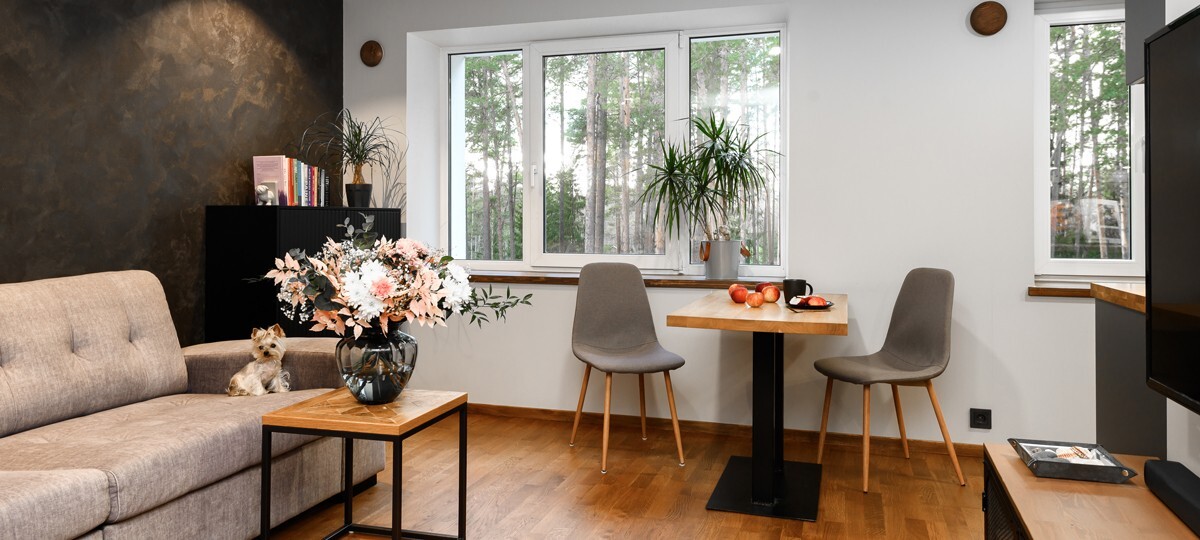 Raemetsa , Pärnu maakond, Häädemeeste vald, Reiu küla