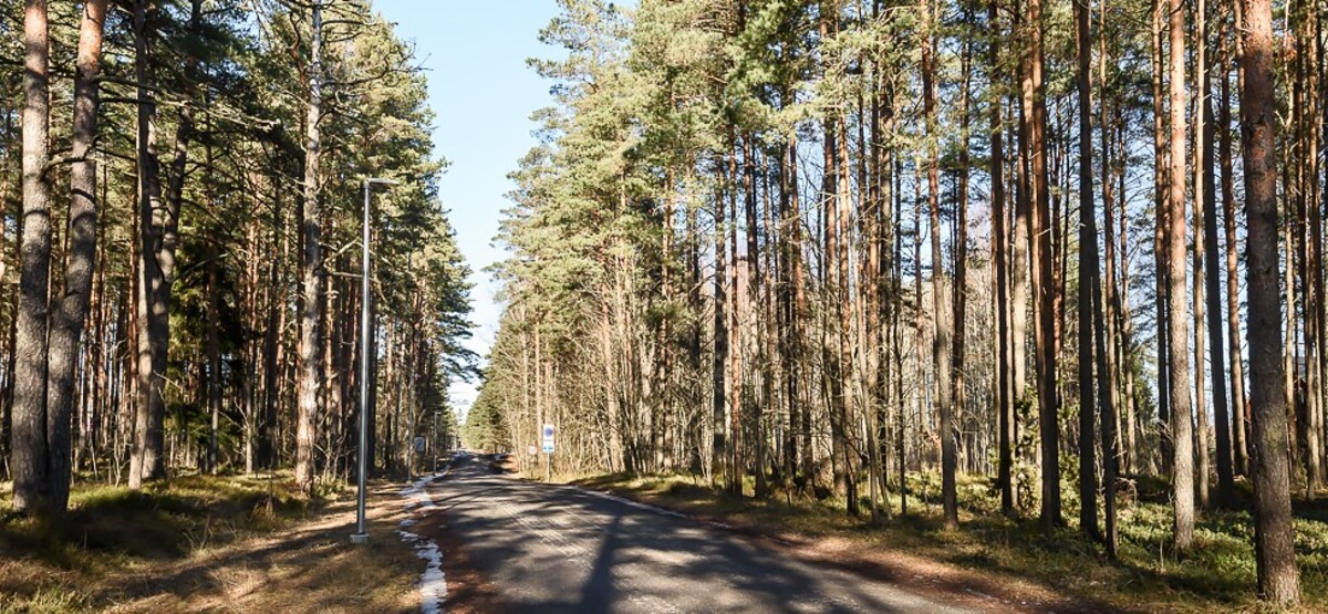 Nõmmemetsa , Pärnu maakond, Häädemeeste vald, Reiu küla