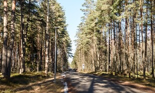 Nõmmemetsa , Häädemeeste vald