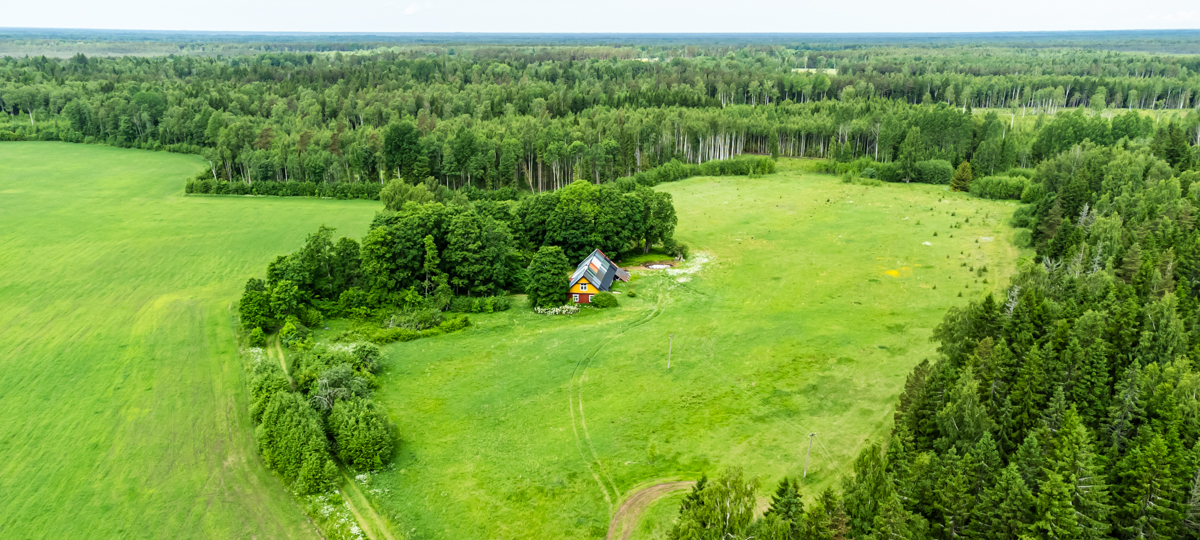 Naerismetsa , Saue vald