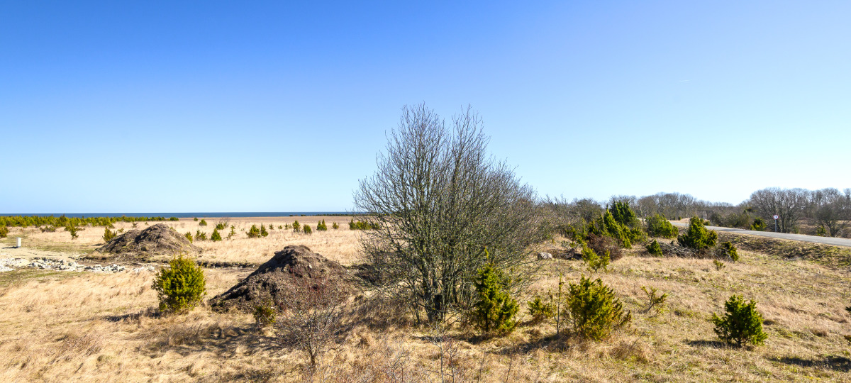 Väina, Suure-Rootsi, Saaremaa vald, Saare maakond