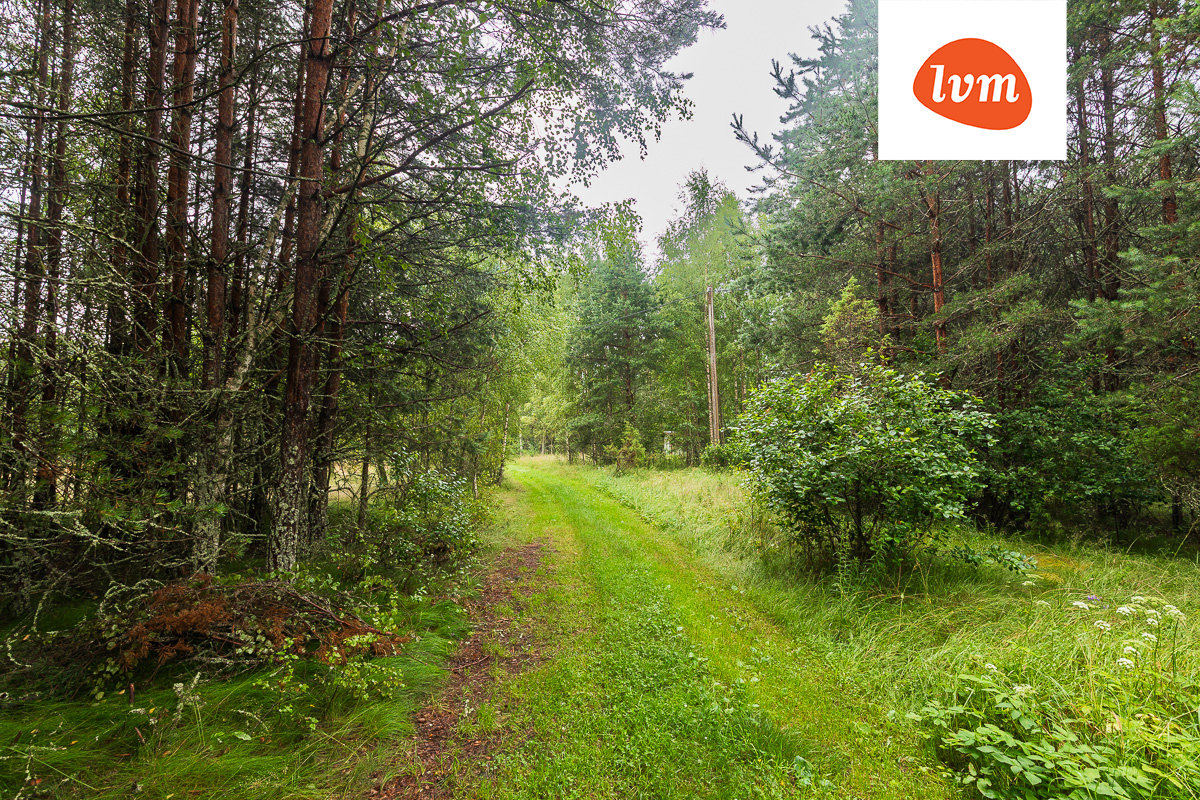 Joosu, Kuru, Alutaguse vald