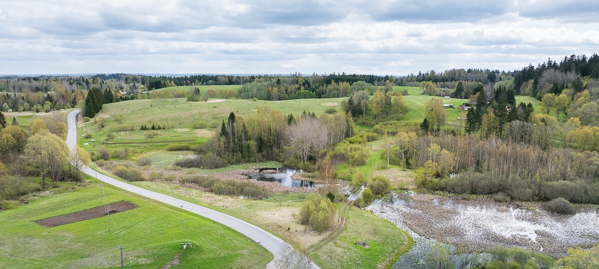 Järve tee , Võru maakond, Rõuge vald, Haanja küla