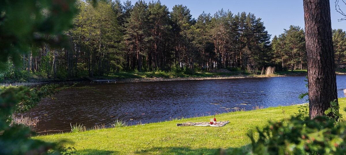 Kullimänniku tee 20, Pärnu maakond, Pärnu linn, Papsaare küla