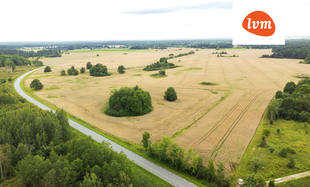 Õha , Saaremaa vald