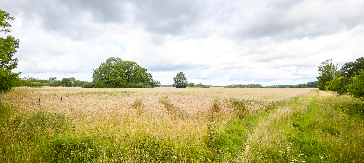Õha , Saare maakond, Saaremaa vald, Õha