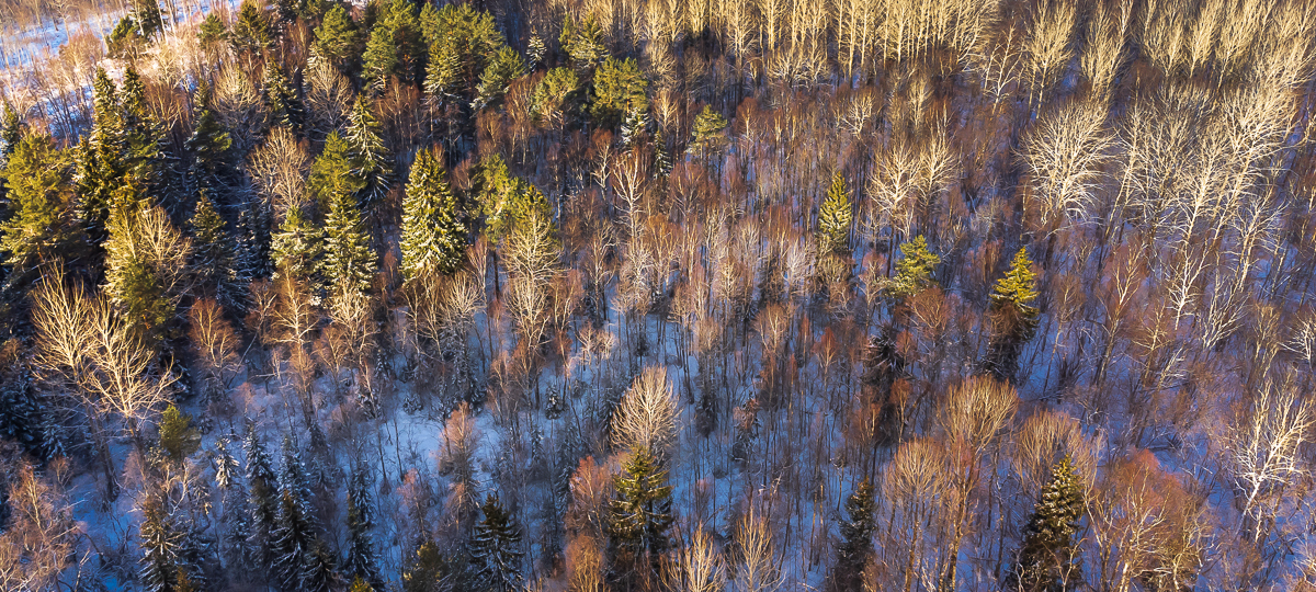Kopli, Suur-Nõmmküla/Klottorp, Lääne-Nigula vald, Lääne maakond