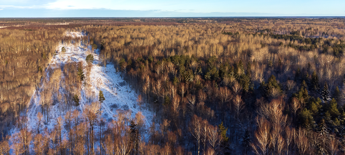 Kopli, Suur-Nõmmküla/Klottorp, Lääne-Nigula vald, Lääne maakond